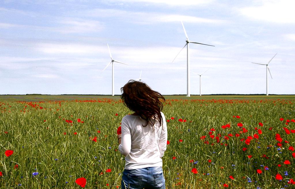 Wind turbines near the coast of Merseyside